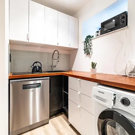 Dana-One Bedroom Apartment In Central Tallinn-1 *