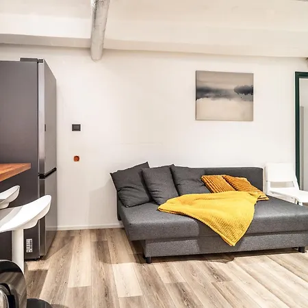 Dana-One Bedroom Apartment In Central Tallinn-1 Apartment *